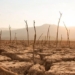how the earth would be if there was no rain 123838