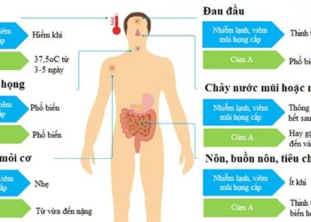 how to differentiate between flu and cold 122095