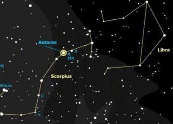 how to differentiate between stars and star groups 118027