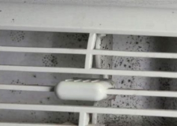 how to effectively detect and handle mold in air conditioning 122565
