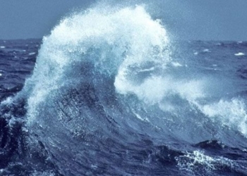 how to predict shark attacks in the ocean 120900