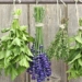 how to steam nasal congestion at home 118902