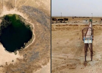 humans and climate change kill sawa 120220