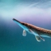 hundreds of millions follow the monster hunting show in china 122604