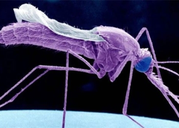hundreds of patients with flu will be saved thanks to this breakthrough research 123396