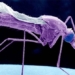 hundreds of patients with flu will be saved thanks to this breakthrough research 123396