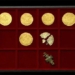 husband and wife unexpectedly find treasure of gold coins on the field 120696