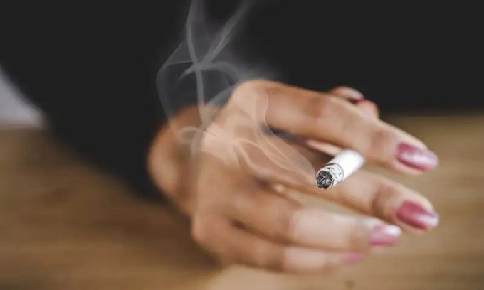 Bacteroides xylanisolvens bacteria can break down nicotine, a harmful component in tobacco.