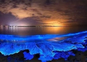 huynh quang appears in many places but is not a good phenomenon 123007