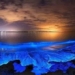 huynh quang appears in many places but is not a good phenomenon 123007
