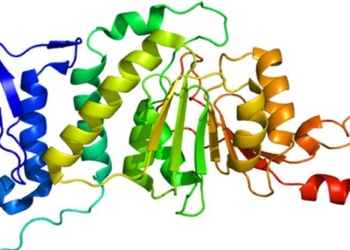 identifying enzymes that aid in sperm production lifetime 122622