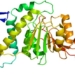 identifying enzymes that aid in sperm production lifetime 122622