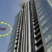 if you drop an ant from the 63rd floor will it die 120374