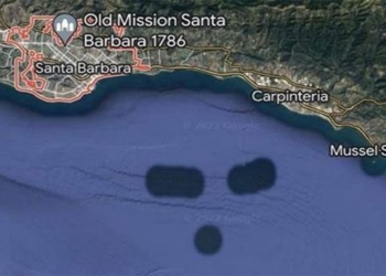 image similar to face of sea monster appears on google maps what could it be 119658