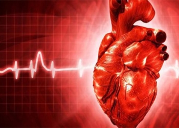 important gene discovered in healing heart injuries 122317