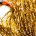 in the future we can eat seaweed instead of meat 121415