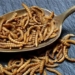 insects can create meat for food 122628
