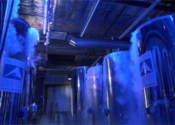 inside the cold storage facility people can wait for the worlds biggest birthday party 107264