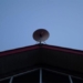 internet the calculation sphere of elon musk is delayed due to some cats 118299