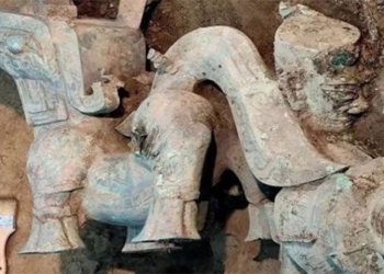 introduction to strange creatures 4 500 years old in di chi tam tinh doi 122638