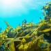 israel develops method for harvesting ocean electricity 118040