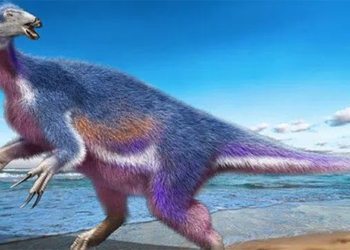 japan announces 5 monsters never seen before in the world 120689