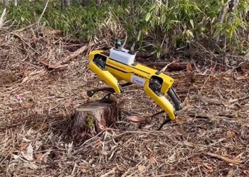 job support robot in japan 121777
