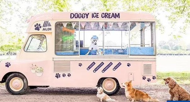 A Beechdean Doggy ice cream bag containing 110 ml, with 4 ice cream balls