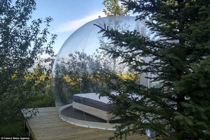 This hotel is deep within a pine forest.