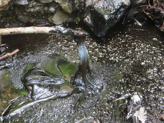 Crude oil can be found in many places around the world