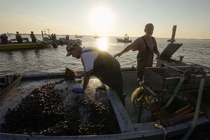 European seas are also facing heatwaves.