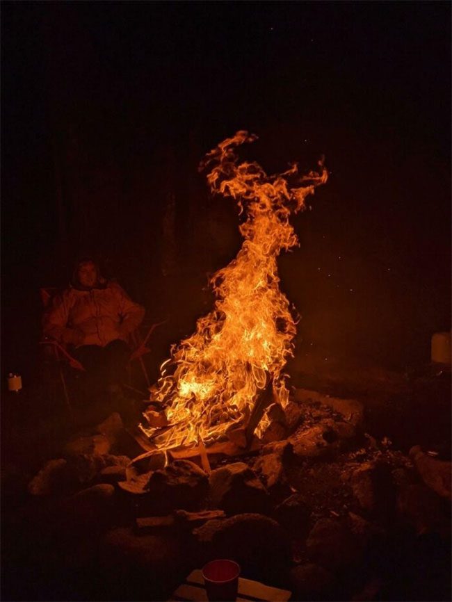 A photo of a fire spot that looks like a deer.