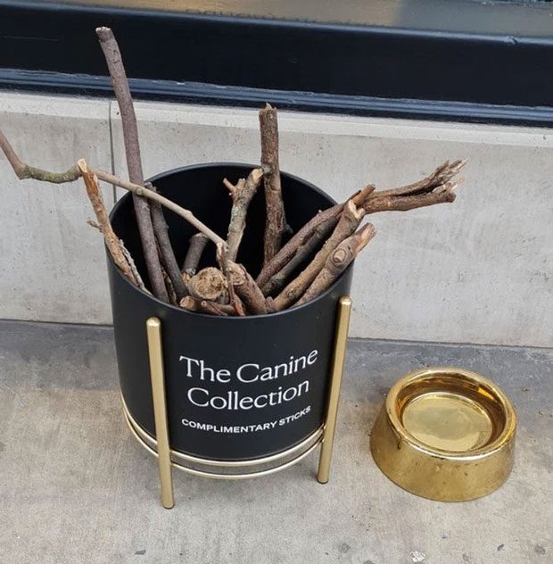 That's agarwood!