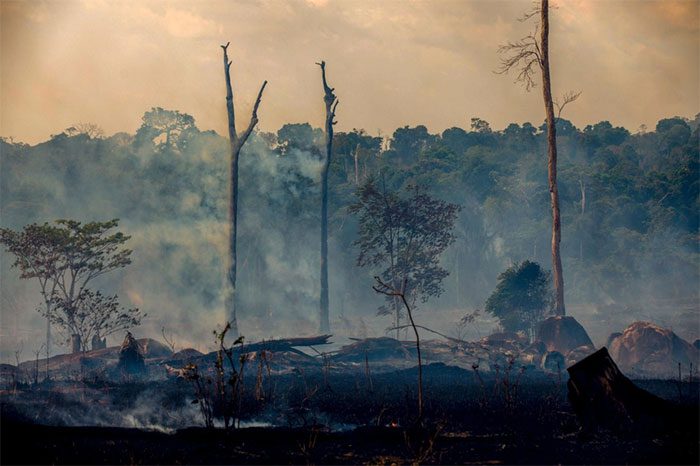 Smoke rising from a wildfire in Brazil in 2019.