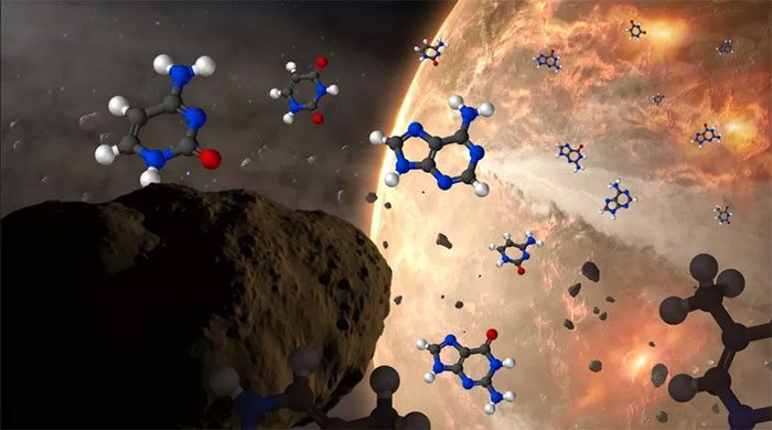 Nucleobases found in DNA and RNA in meteorites that have reached Earth