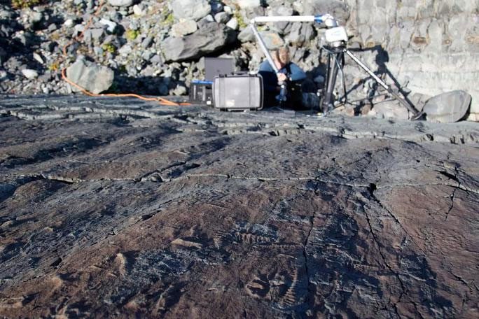 Researching fossils at the Mistaken Point Ecological Reserve, Newfoundland - Canada