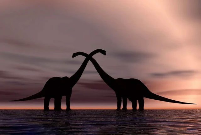 The metabolic rate of dinosaurs is generally high.