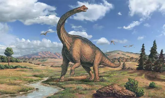 The body of the Brachiosaurus dinosaur is approximately 85 feet (26 meters) long