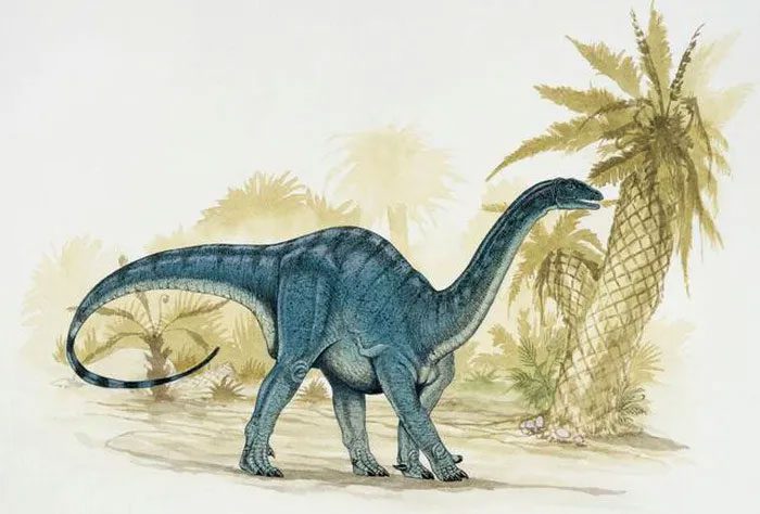 Mussaurus is a prosauropod dinosaur