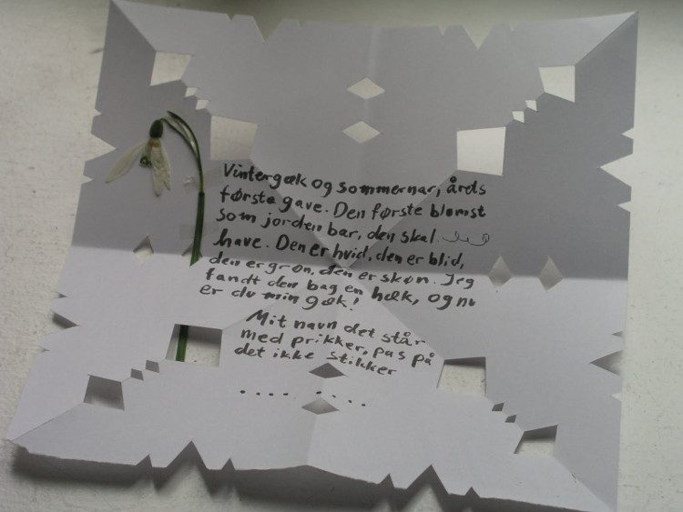 Anonymous letter from Danish and Norwegian men sent to the women they like on February 14th.