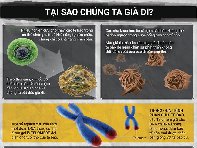 lao hoa 1