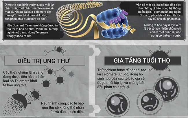 lao hoa 2