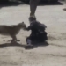 lion vo nga nu police and husband traffic incident 120273