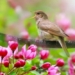 listen to bird songs help relieve constipation 123634