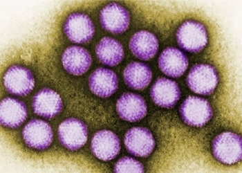 liver inflammation epidemic causing over 1 000 children to have symptoms explanation 122020