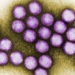 liver inflammation epidemic causing over 1 000 children to have symptoms explanation 122020