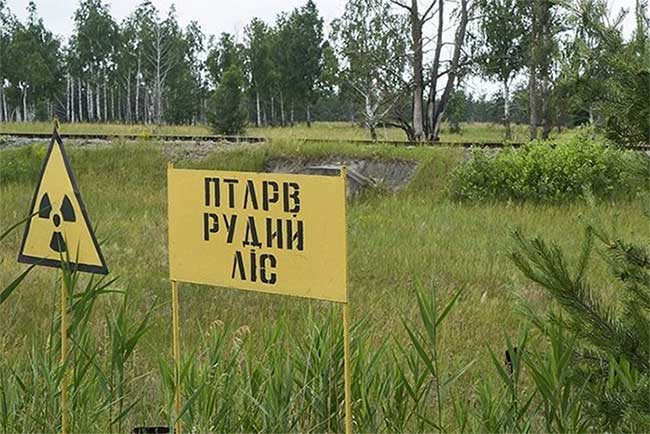 Entrance to the town of Pripyat.