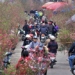 lunar new year temperatures in northern vietnam higher than average many years 124221