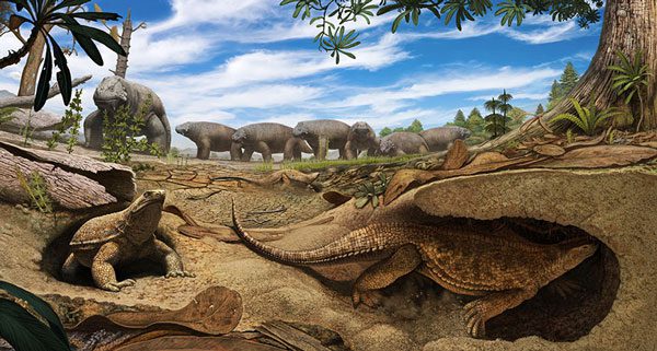 Eunotosaurus