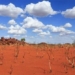 main causes of extreme heat waves around the world 120451
